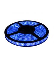 Fita de LED 5050 Azul Rolo 5m