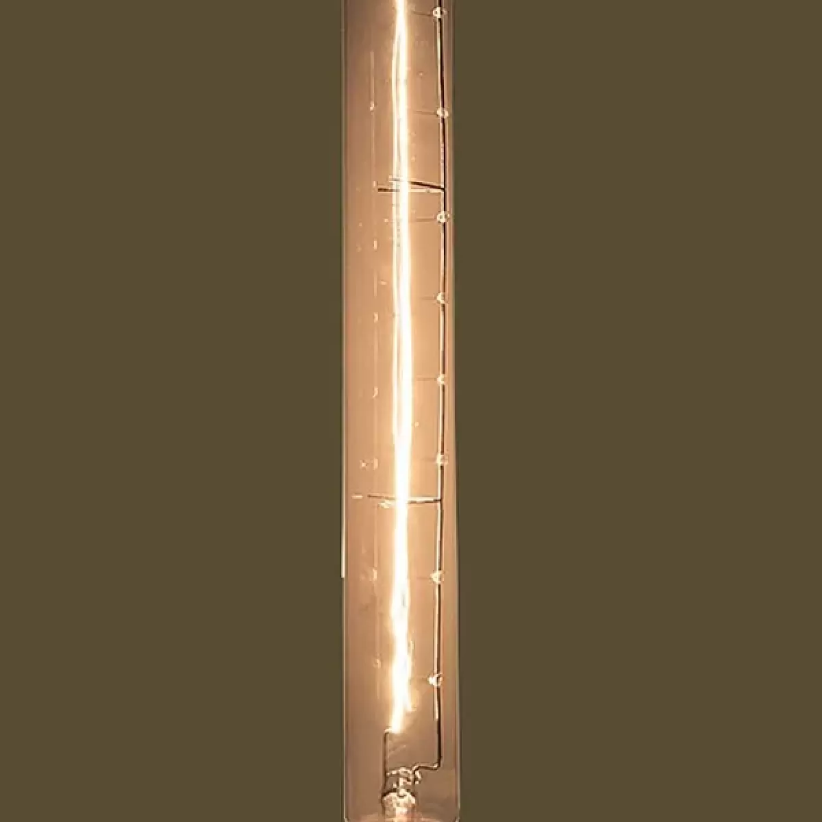 Lampada de Filamento Carbono T30-300 Dimerizavel 110v