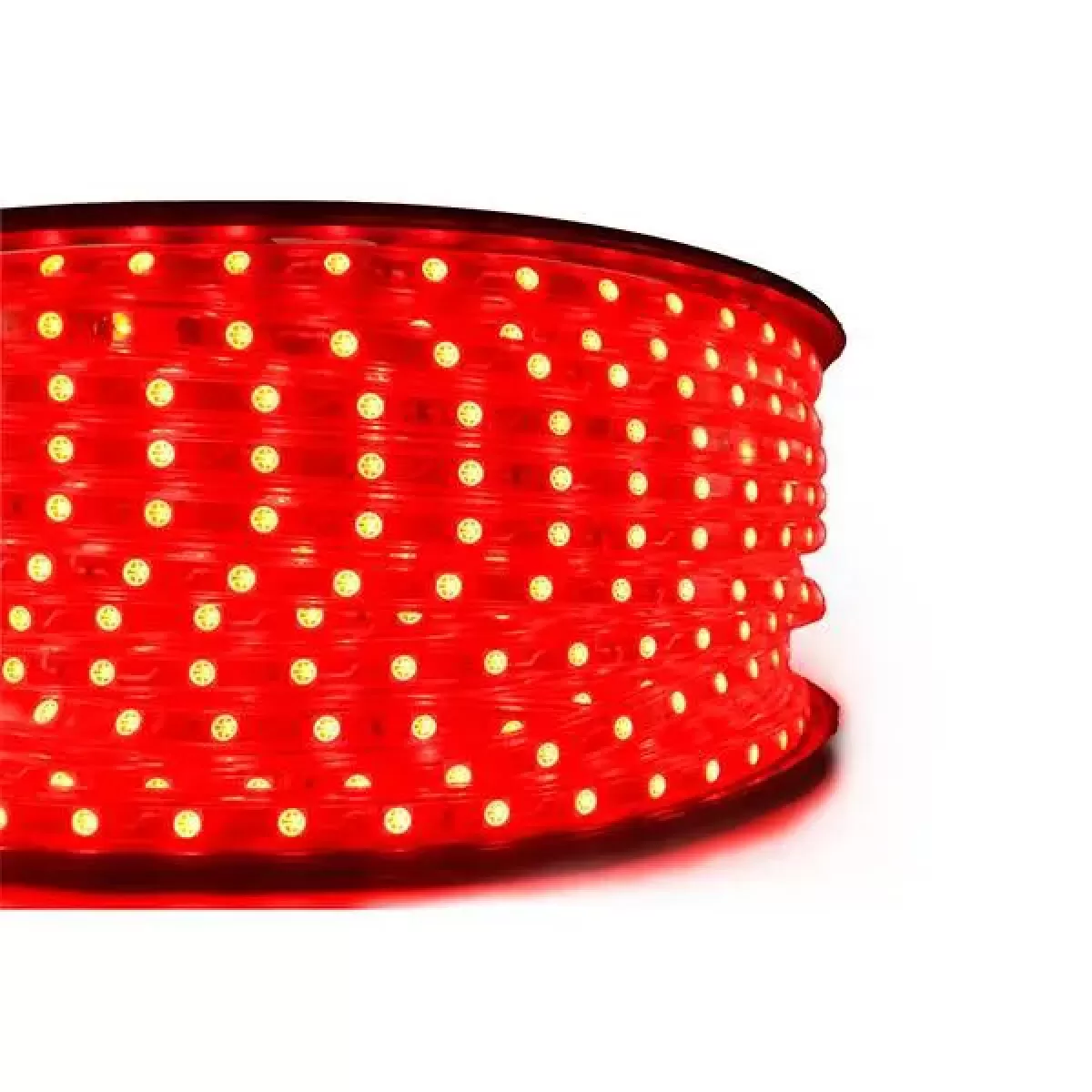 Rolo Mangueira de LED 100 Metros 11mm 24 leds/metro Vermelho 220v