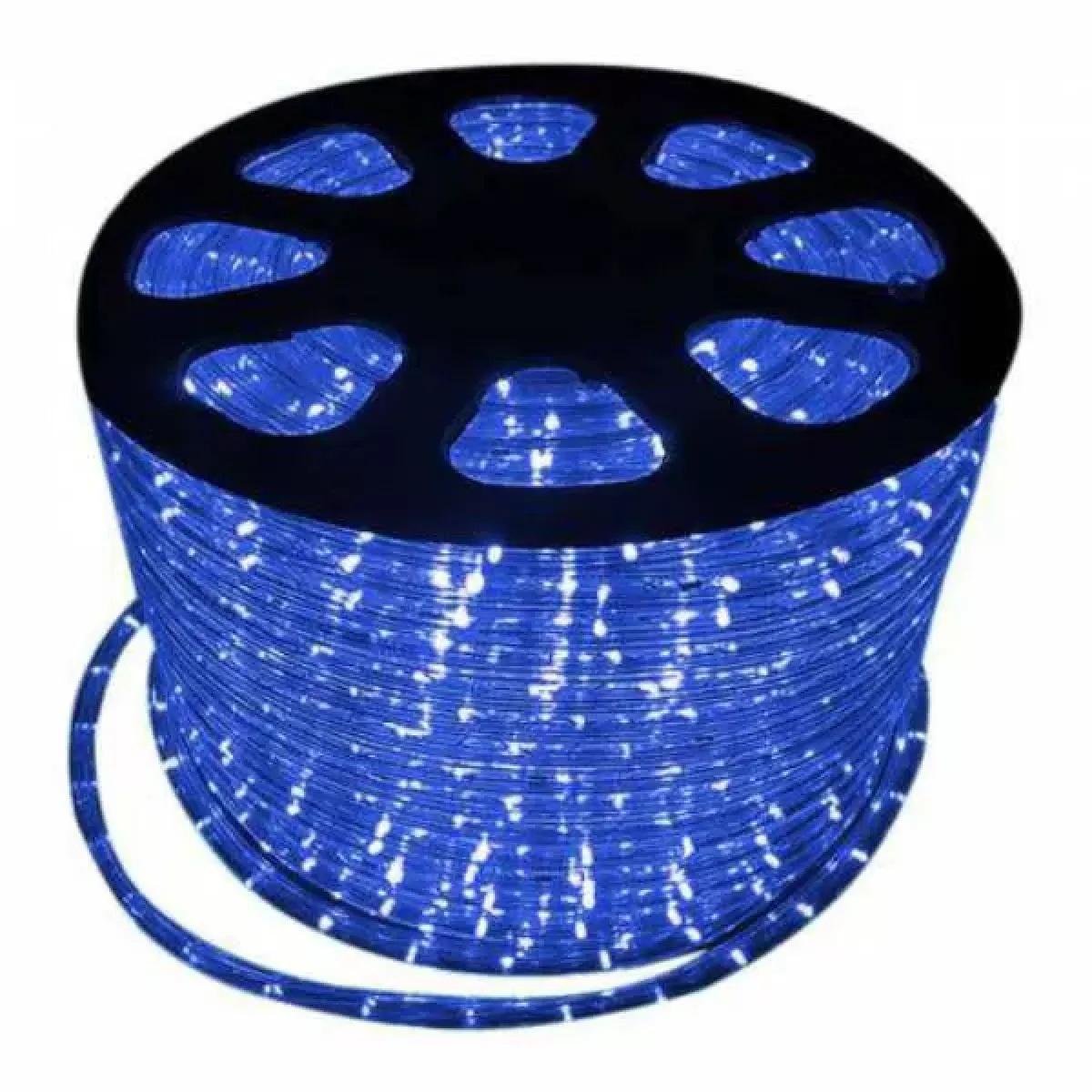 Rolo Mangueira de LED 100 Metros 11mm 24 leds/metro Azul 110v