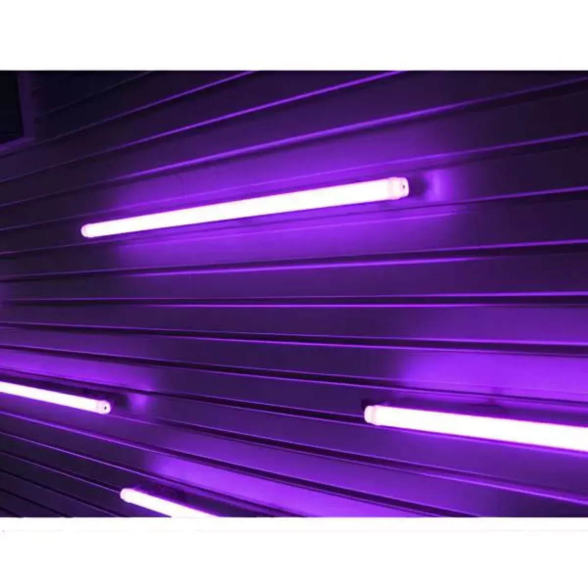 Lampada LED Tubular 9w 60cm T8 Roxo