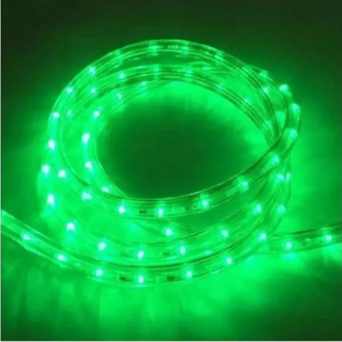 Rolo Mangueira de LED 100 Metros 12 mm 30 leds/metro Verde 220v