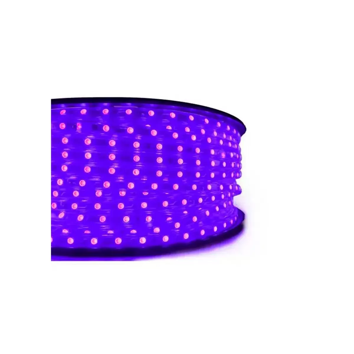 Rolo Mangueira de LED 100 Metros 13mm 36 leds/metro Roxo 110v